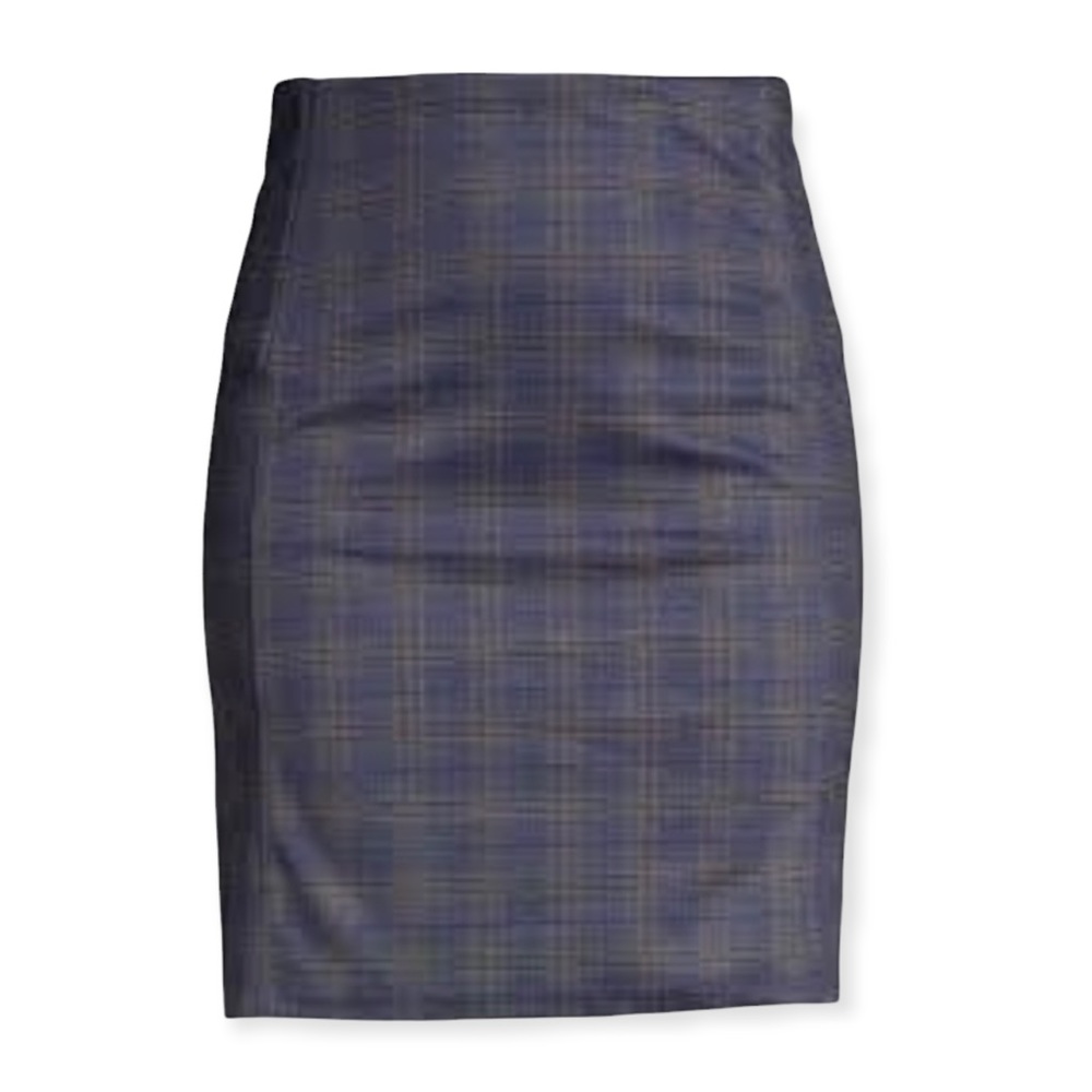 NWT skirt (10P)